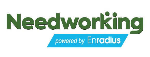 Logo for Needworking