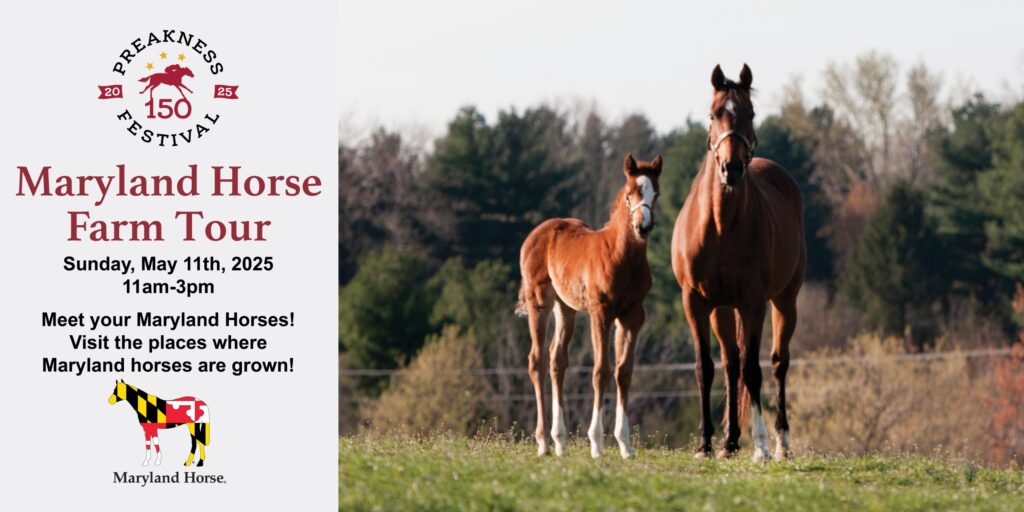 phot of horses giving detials on the Maryland horse farm tour